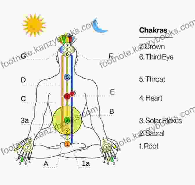 An Illustration Depicting The Flow Of Energy Through The Human Body The Energetics Of Health: A Naturopathic Assessment