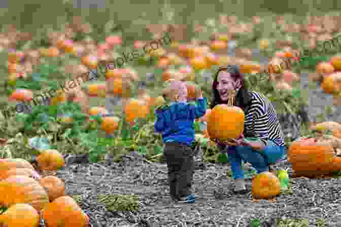 Image Of A Person Tending To A Pumpkin Patch The Perfect Pumpkin: Growing/Cooking/Carving