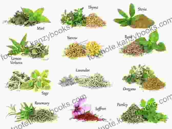 Image Of A Variety Of Herbs Used In Health Tonics Essential Chinese Medicine Volume 2: Health Tonics