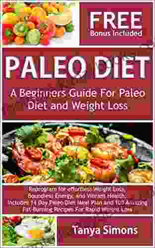 Paleo Diet: Cook For Beginners: 14 Day Meal Plan TOP 100 Paleo Recipes For Weight Loss Health Breakfast Lunch Dinner Snacks And Drink