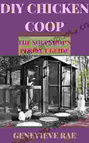 DIY CHICKEN COOP THE SOUPSHOP S PERFECT GUIDE