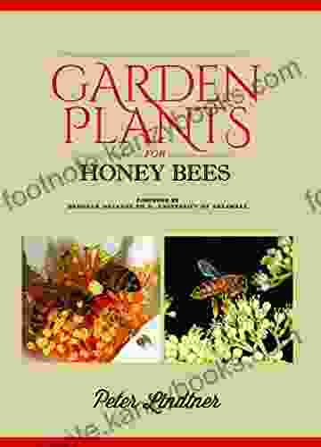 Garden Plants For Honey Bees