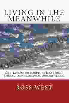 Living In The Meanwhile: Meditations On Scripture Texts From The Revised Common Lectionary Year C