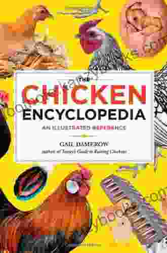 The Chicken Encyclopedia: An Illustrated Reference